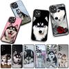 Husky Dog Cover Phone Case for Apple iPhone 17 16 11 Pro XS Max XR 6 7 8 Plus 16E SE 2020 Air 5 SE2