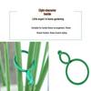 Climbing Plant Support Clips - Figure-Eight Garden Buckles for Stem Support and Vine Fixing