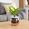 Multi-functional Transparent Hydroponic Vase Plastic Mini Fish Tank Decorative Flower Pot Office