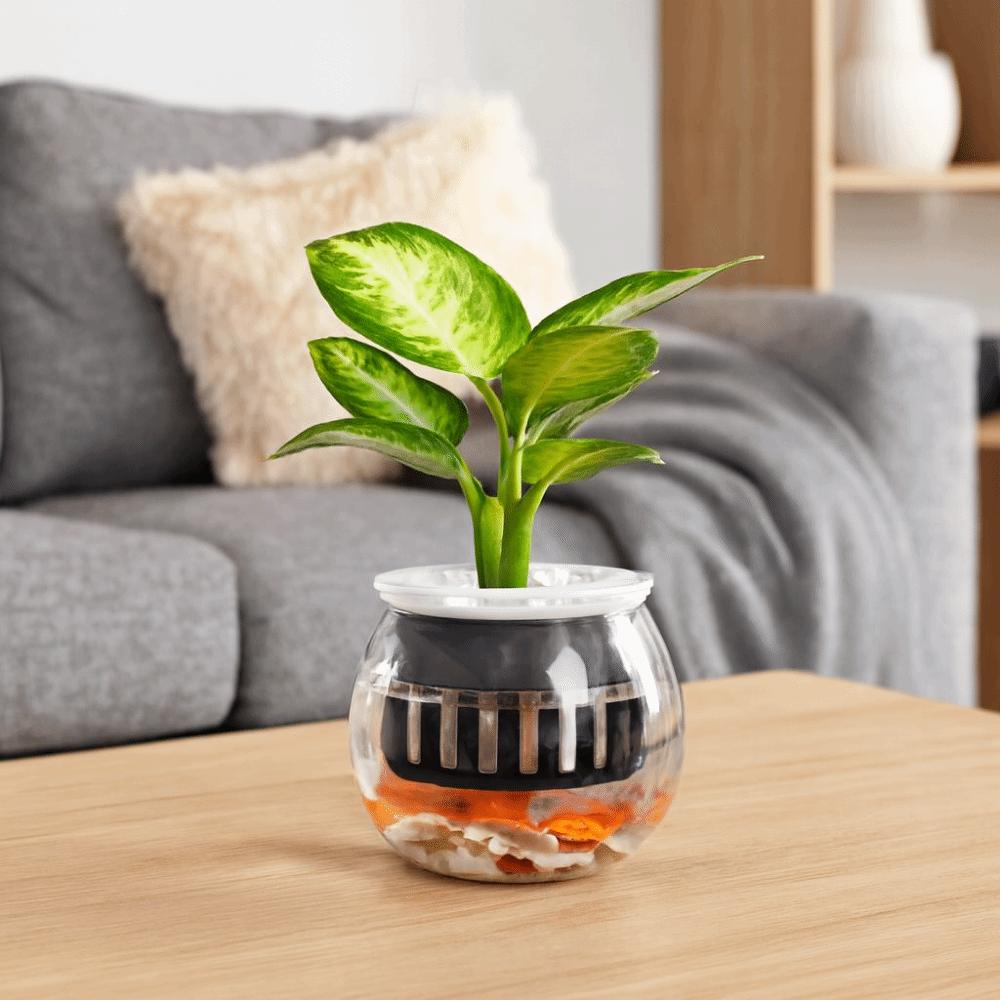 Multi-functional Transparent Hydroponic Vase Plastic Mini Fish Tank Decorative Flower Pot Office