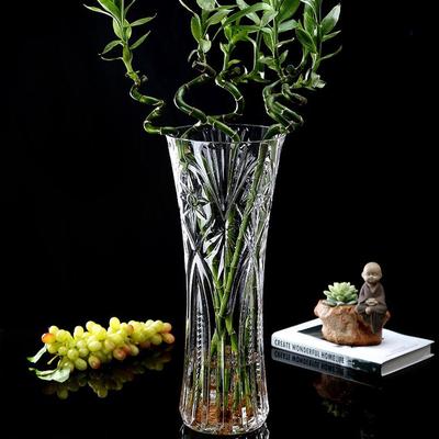 Extra Large Transparent Glass Vase, 50cm Height, Wide Diameter for Flower Arrangements, Living Room Decor, Hydroponic Lucky Bamboo