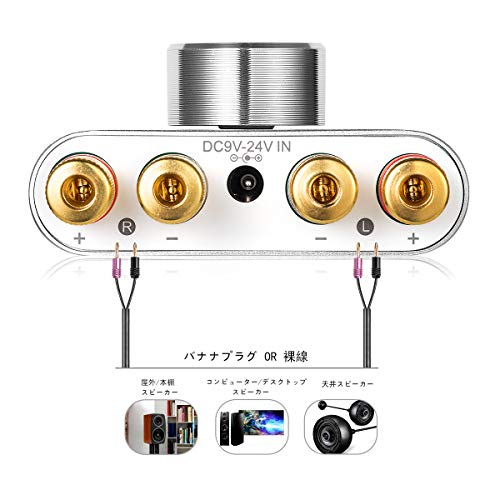 Nobsound NS-01G Pro Leistungsverstärker, Bluetooth 5.0, 100W, Verstärker, Lautsprecher, HiFi Audio, mit Netzteil (Silber)