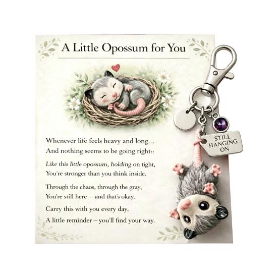 Keychain Pendant Acrylic Possum Design Lightweight Furry Texture Key Chain with Metal Lobster Clasp February
