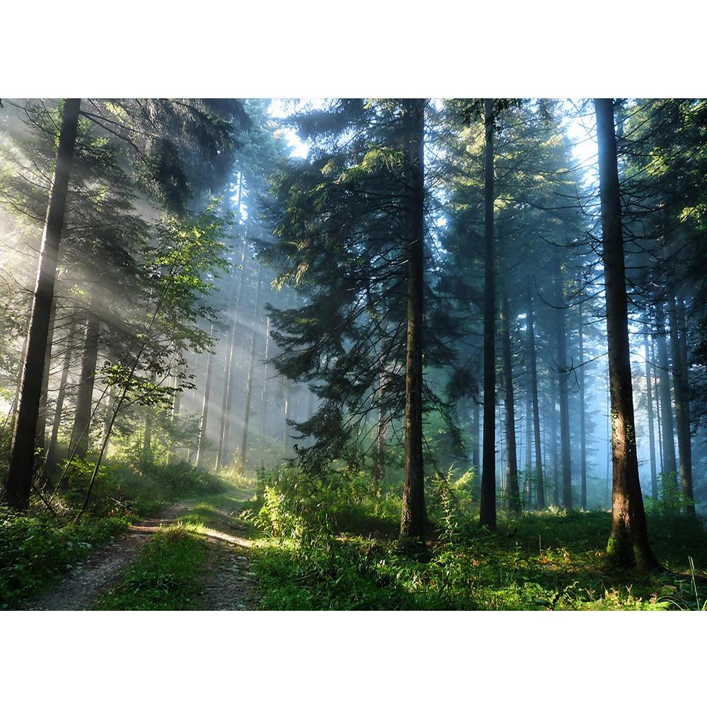 Wald Wandbilder 3D Landschaft Wald Tapete Schlafzimmer Wandbild Heimdekoration
