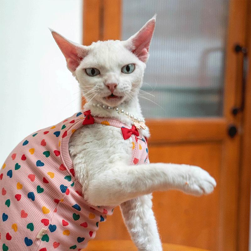 German cat clothes hairless cat Sphinx sling pit strip belly protection bow vest pet cat short sleeved cat
