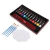 Kids Paint Set 12 Colors Pigment 5 Paintbrushes Vibrant Colors Poisonless Quick Drying Widely Used Kids Painting Kit