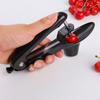 Fruit- en groentegereedschap – Ontpitters