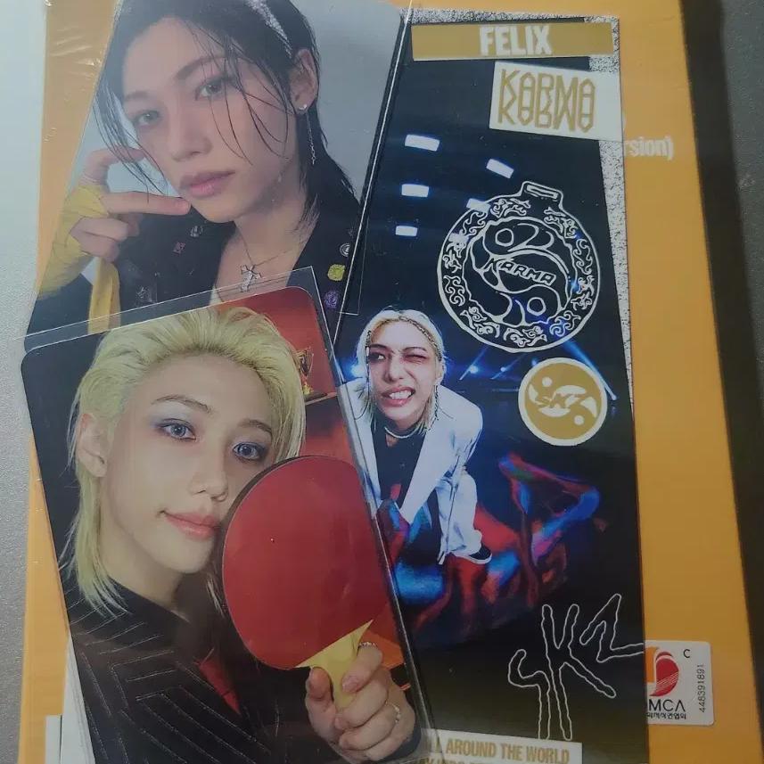 

Полный комплект) Феликс Альбом-аккордеон Straykids Skies Karma