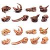 Pädagogisches Dinosaurier-Fossil-Spielzeug für Kinder Realistische Triceratops- und Brachiosaurus-Modelle