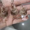 Funny Chicken Cat Acrylic Keychain Weird Cat Body Chicken Feet Bag Charm Cute Meme Accessory Couple Gift For Backpacks