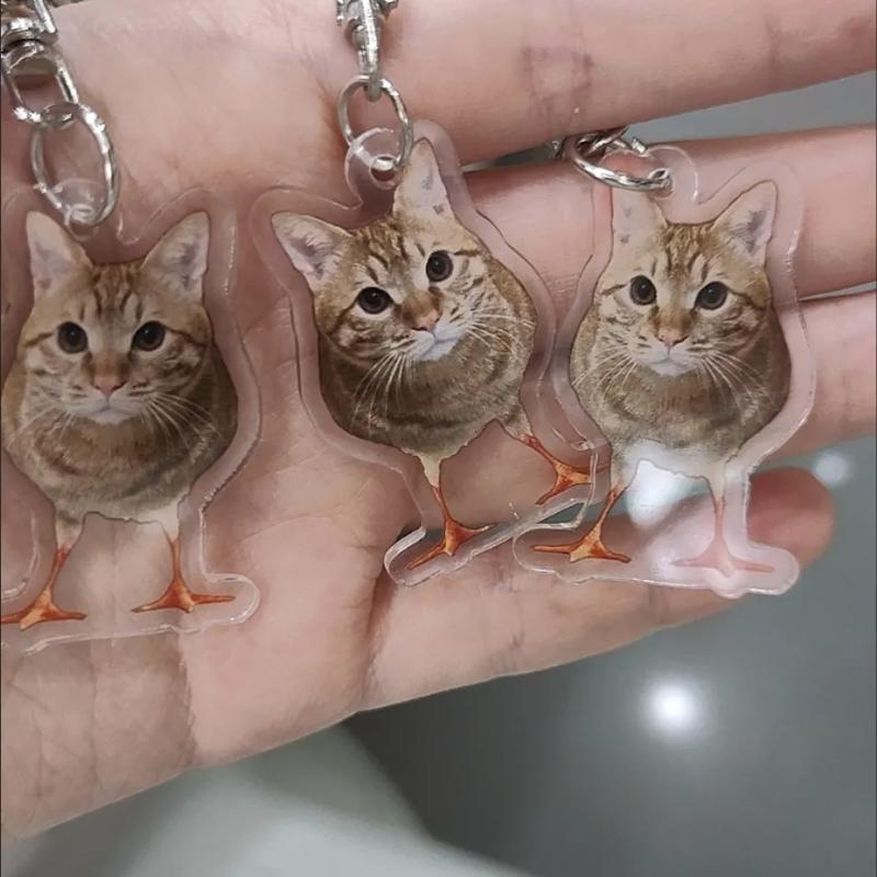 Funny Chicken Cat Acrylic Keychain Weird Cat Body Chicken Feet Bag Charm Cute Meme Accessory Couple Gift For Backpacks