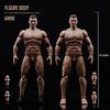 1/12 Maßstab Actionfigur, 6-Zoll Männlicher Körpermodell, Muskulöses Männliches Körpermodell, Flexible Muskeln, Miniatur Actionfigur Körperpuppen Sammlung