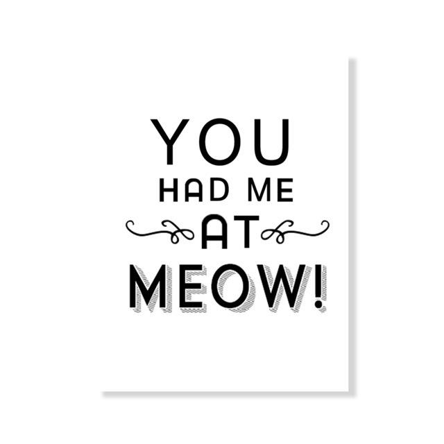 Modular Prints Nordic Style Black Pet Cat Letter Pictures Home Decor Paintings Living Room Simple Style Canvas Poster Wall Art