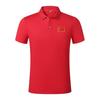 2025 Men's Quick-Dry Ice Silk Summer Sport Polo Shirt & Shorts Set