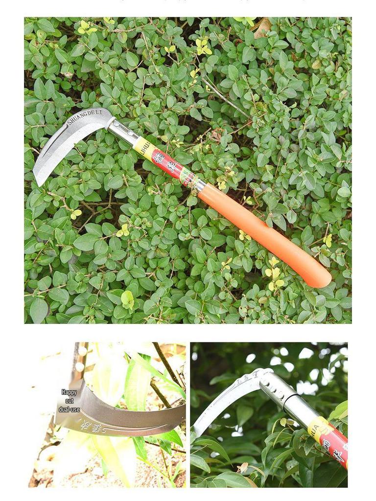 Sense mit extra langem Stiel für Gras, Mais, Weizen und Camping