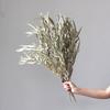 Wabi-sabi Dried Flower Arrangement: Reed, Pine Cones, Cotton, Wheat, Poppy Bouquet