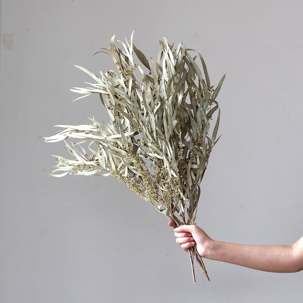 Wabi-sabi Dried Flower Arrangement: Reed, Pine Cones, Cotton, Wheat, Poppy Bouquet