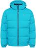 Зимняя куртка Tommy Hilfiger TJM Essential Down Jacket (DM0DM15447)