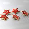 Stella Rossa Martello Falce Simbolo Comunismo URSS Spille Distintivi Spille Unione Sovietica Marxismo Logo Gioielli