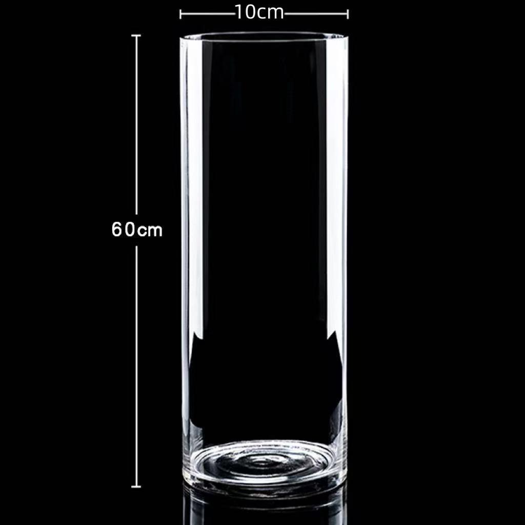 Transparent Glass Flower Vase & Hydroponic Container - Floor Ornament