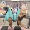 Köpek – Köpek bakım ürünleri