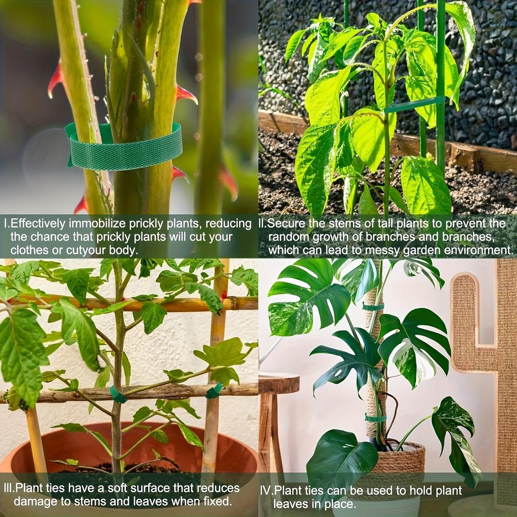 1/10/20/30PCS Reusable Adjustable Plant Ties, Green for Climbing Plants, Support and Garden Maintenance