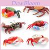 Realistic Crab Model With Detailed Features Vibrant Pvc Material For Display And Collection