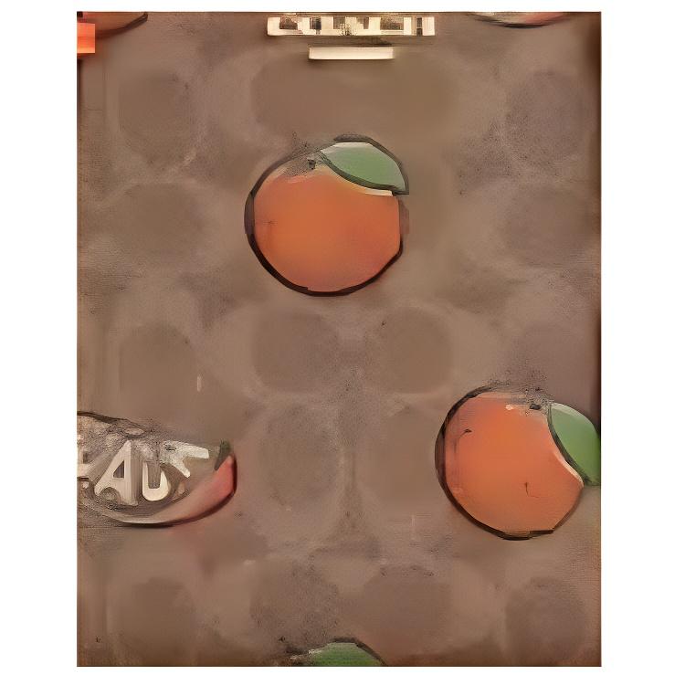 Coach Borsa Tote in Tela Signature Marrone con Stampa di Frutta Arancione e Tracolla Staccabile per Uso Quotidiano e da Viaggio