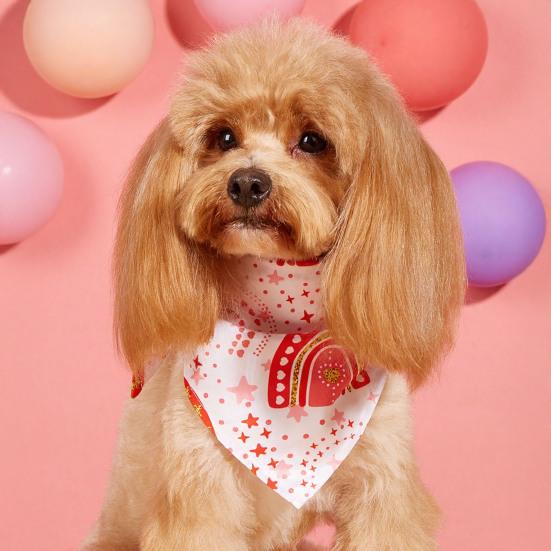 Pet Saliva Wipes Adjustable Strap Exquisite Heart Pattern Pet Cleaning Cloth Pet Valentine Day Party Birthday