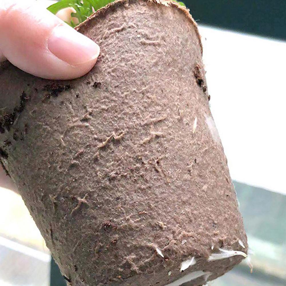 50Pcs 6/8cm Paper Pulp CultIvation Cup Biodegradable Seedling Nursery Pot Seedling Starter Garden Germinative Planting Container