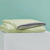 Soft Antibacterial Summer Quilt - Colorful Fruit Pattern