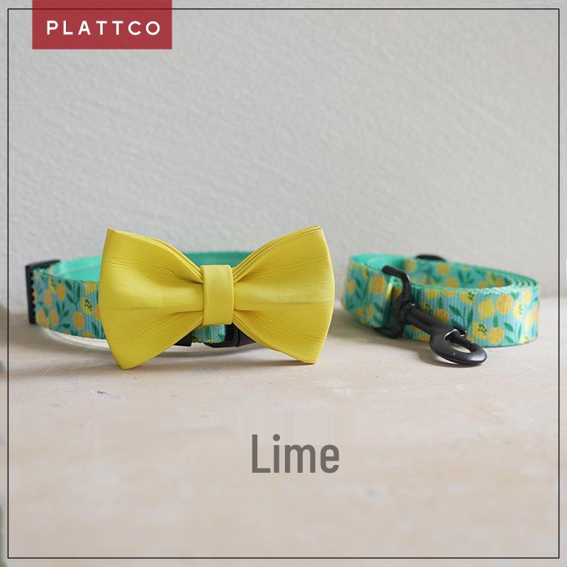 PLATTCO Green Lemon Dog Collar & Leash Set - Fashion Print, PDC329 XS