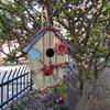 7.8 Inch Wooden Birdhouse Hand Painted Bird House for Outdoor Hanging Bird House Garden Decoration