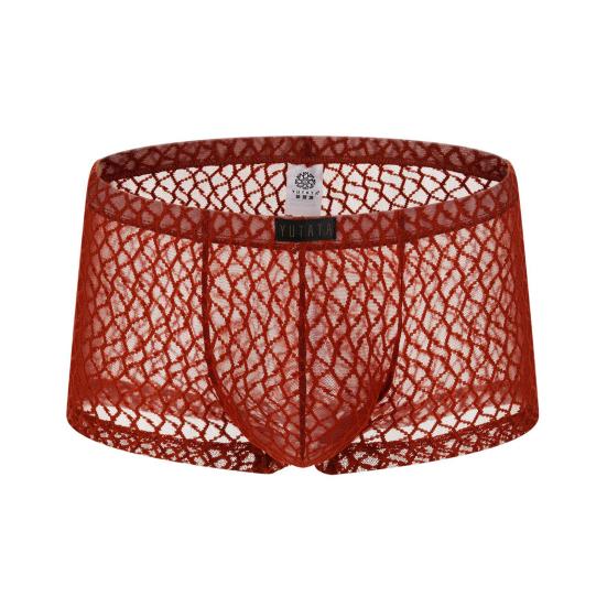 Men Summer Thin Underwear Low-rise Sexy Transparent Lace Shorts Panties Breathable Lightweight Elastic Comfortable Underwear