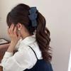 Pleated Bow, Banana Clip, Korean-style Ponytail, Vertical Clip, Twist Clip, Women's Style