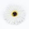 50/100 Stück Künstliche Blume Seiden-Gerbera Blume Wand Hochzeit Braut Accessoires Ausverkauf Scrapbooking Heimdekoration DIY Geschenke Box