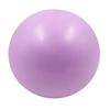 Yousheng Small Pilates Exercise Ball Pelvic Floor Muscle Barre Yoga Core Strength Physical Therapy Stability Fitness Ball Home Gym Mini Workout