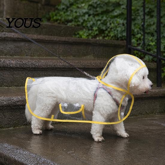 Dog Rainwear Clear Raincoat Poncho, Waterproof EVA Rain Suit for Small Medium Dogs, Pet Jacket with Hood And Leash Hole, Teddy Bichon Outdoor Walking