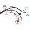 Beach Car ATV Little Bull 50-125CC Motorcycle Wiring Harness Loom