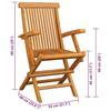 VidaXL Lot de 2 Chaises de Jardin avec Coussins, Sièges de Terrasse, Chaises de Salle à Manger, Meubles de Patio Extérieur, 3062487