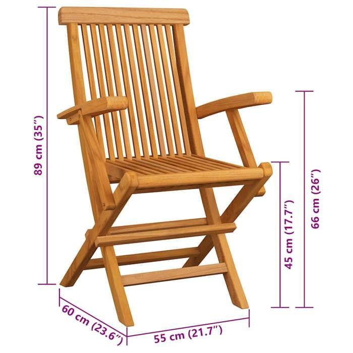 VidaXL Lot de 2 Chaises de Jardin avec Coussins, Sièges de Terrasse, Chaises de Salle à Manger, Meubles de Patio Extérieur, 3062487