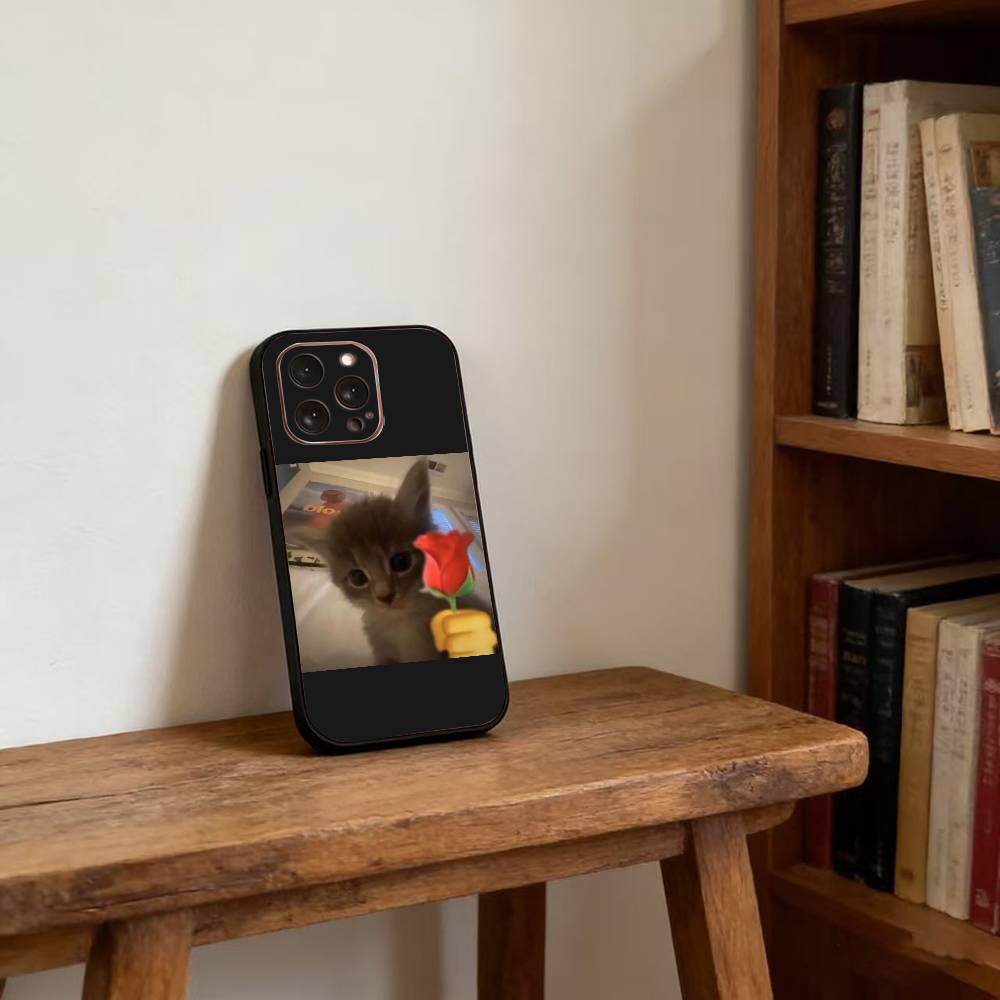 Haustier Katze Lustige Memes Handyhülle Silikon Weich Für IPhone 17 16 15 14 13 12 11 X XR Plus Pro Max Plus