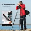 NEEWER Basic 187cm Video Tripod with Video High Camera Tripod with Dynamic Suitable for Maximum Load TP37 Head, Metal, Durability, Damping/Mid-Level
