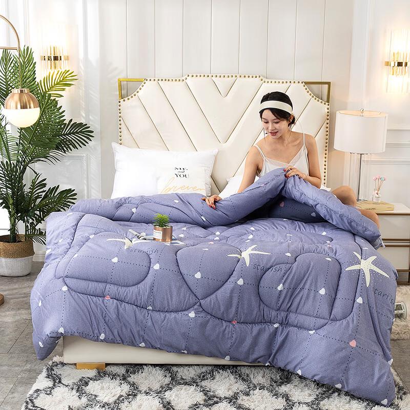 All-Season Thickened Warm Quilt