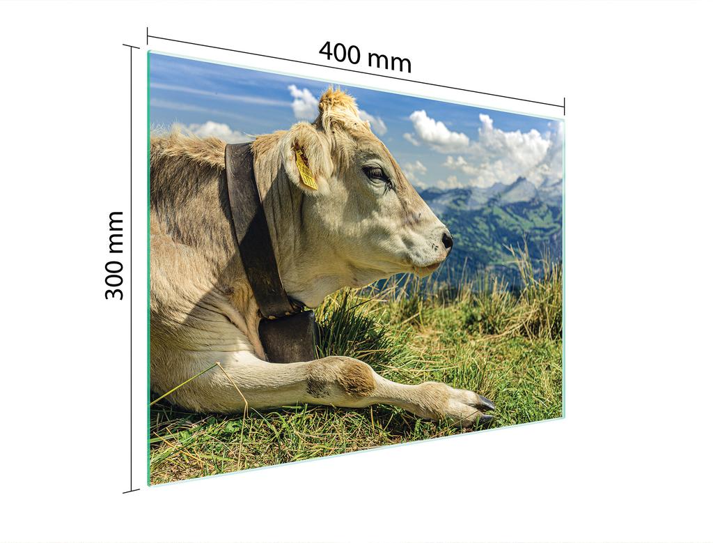 GLAS-SCHNEIDEBRETT 40x30 KUH