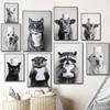 Highland Cow Otter Cat Raccoon with Toilet Paper Poster Print Canvas Painting Bathroom Wall Art Funny Toilet Humor Home Decor