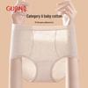 GUJIN Women's Mid-High Waist Tummy Control Underwear 3-Pack