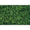 MOON.QG Tropical Leaves Backdrops Spring Garden Backgrounds Green Grass Photo Wall Customized Name Birthday Wedding Photocall