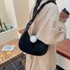 Hand Carry Fashion Dumpling Bag Women 2025 Autumn and Winter Korean Ins Simple Versatile Shoulder Bag Niche Trend Messenger Bag