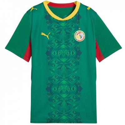 Puma Childrens/Kids Fifa World Cup 2026 Senegal Away Shirt